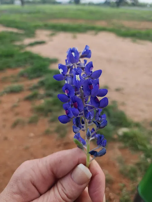 Atomic Ranch Picture 4