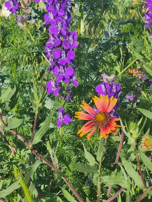 Atomic Ranch Picture 10