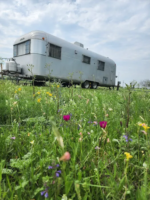 Atomic Ranch Picture 6