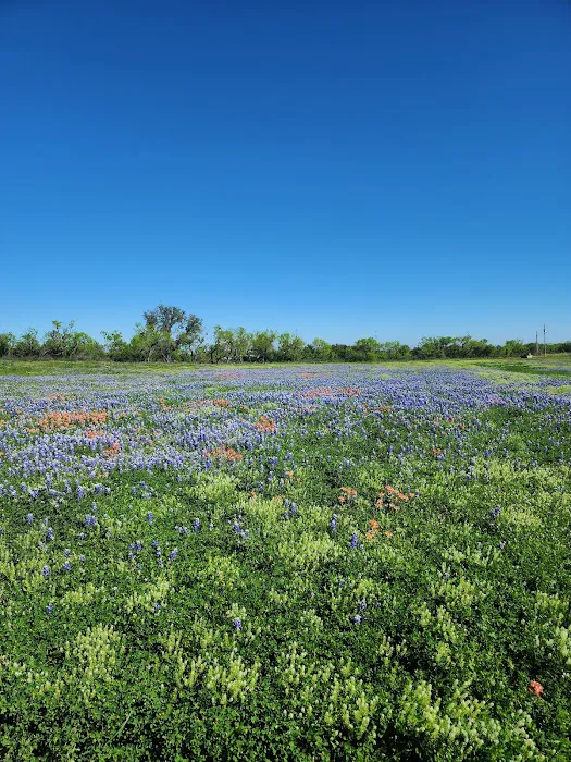 Atomic Ranch Picture 7