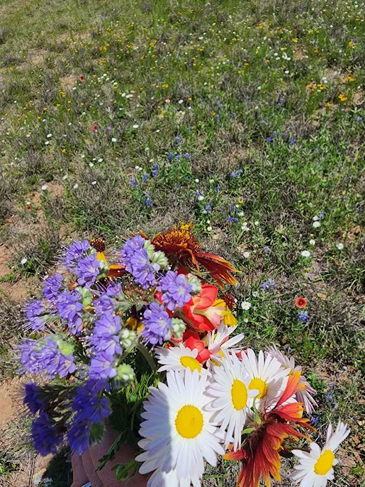 Atomic Ranch Picture 9