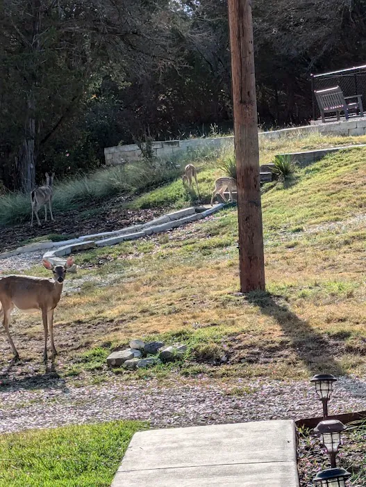 HEB Partner Lodge Kerrville Picture 1