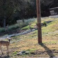 HEB Partner Lodge Kerrville ico