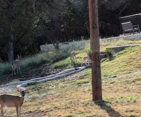 HEB Partner Lodge Kerrville