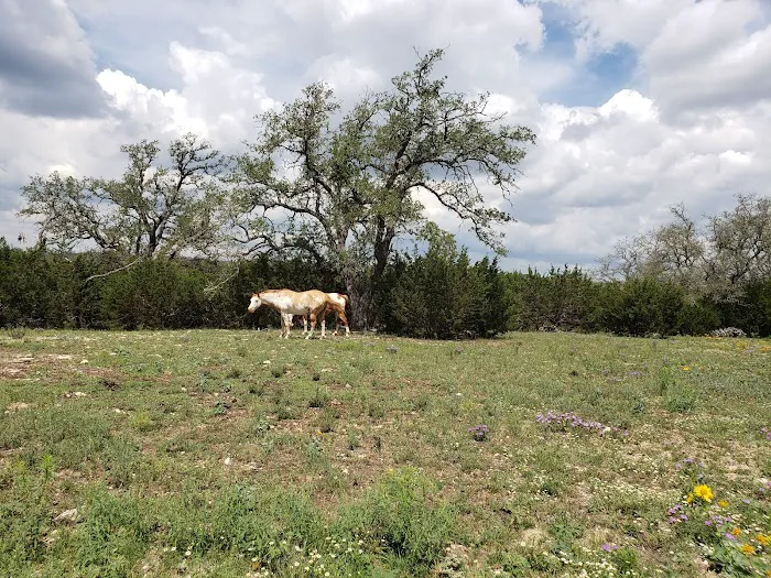 AstroRetreat Picture 6