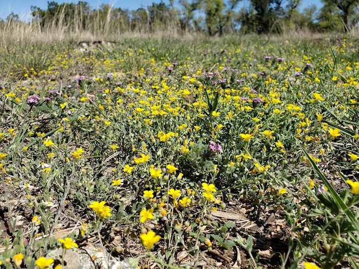 AstroRetreat Picture 7