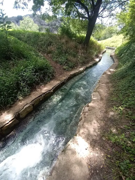 Sulphur Springs Camp Picture 2