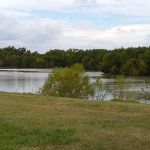 Williamson County Expo Center RV Park