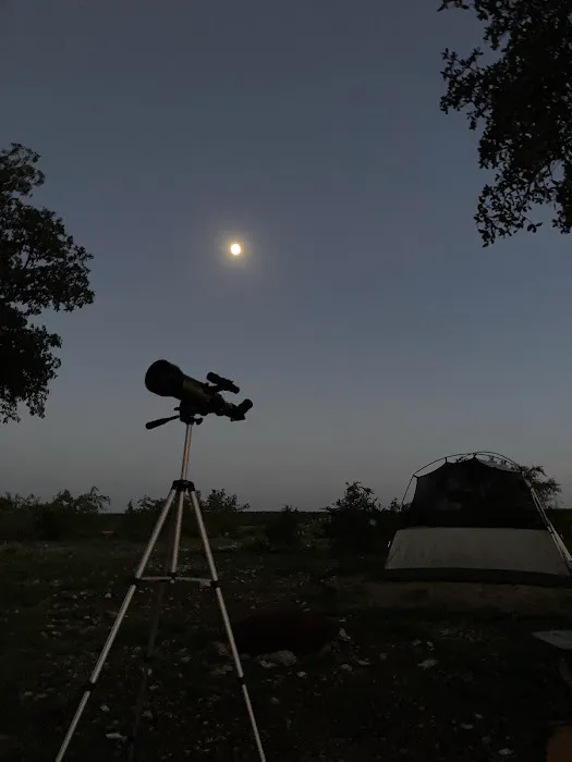 Phrog and Munkey camping Picture 3