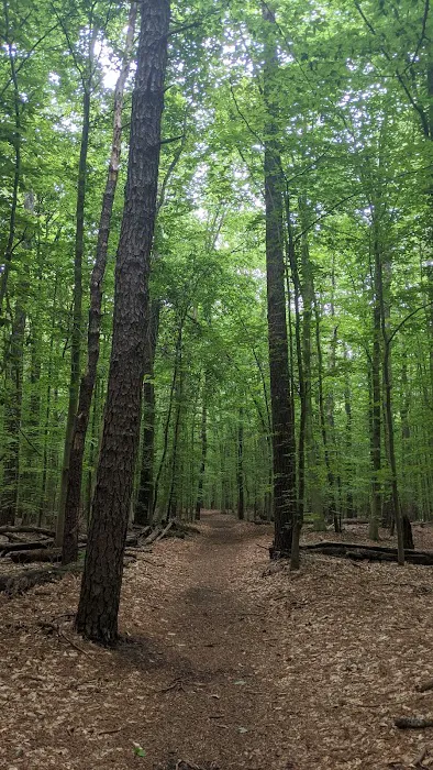 Family Campground Picture 9