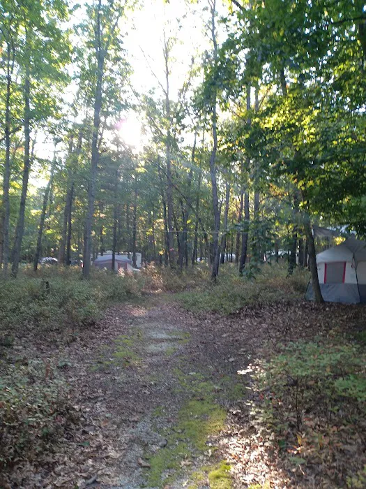Turkey Swamp Campground Picture 4