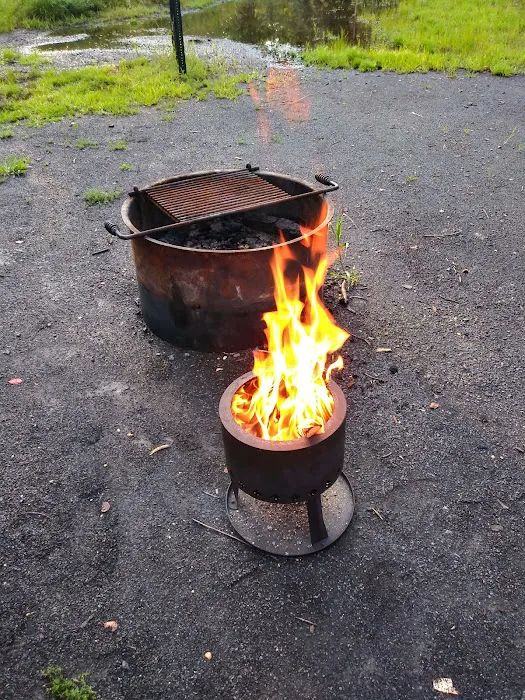 Turkey Swamp Campground Picture 10