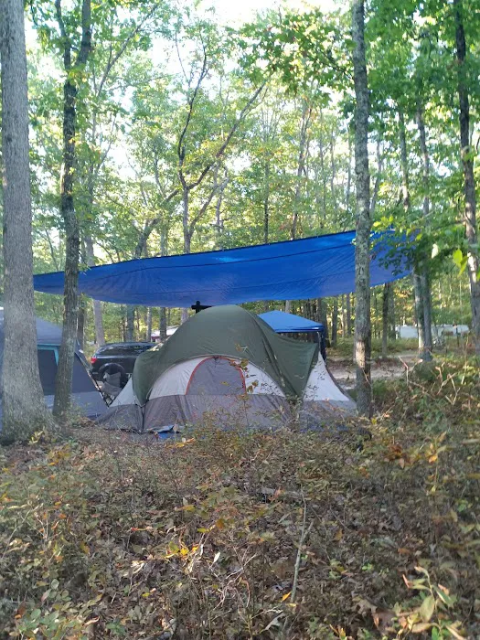 Turkey Swamp Campground Picture 5