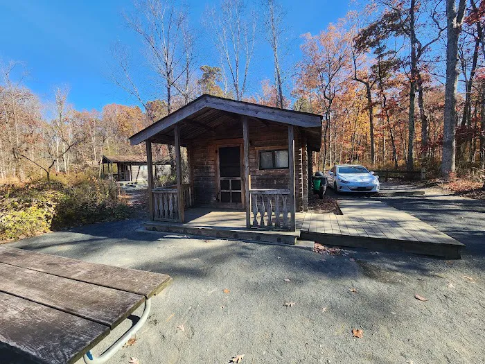 Turkey Swamp Campground Picture 8