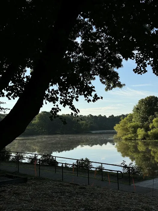 Turkey Swamp Campground Picture 3