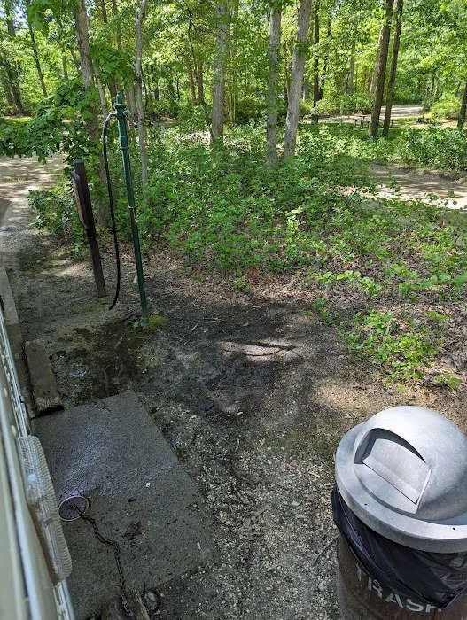 Turkey Swamp Campground Picture 9