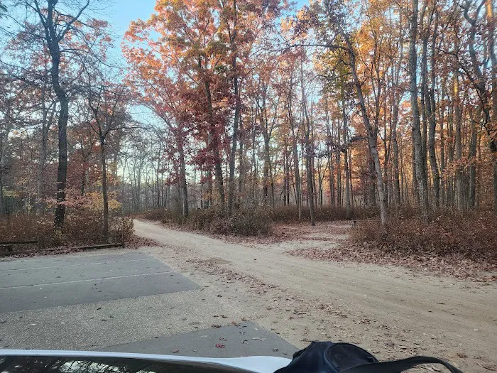 Turkey Swamp Campground Picture 1