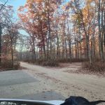 Turkey Swamp Campground