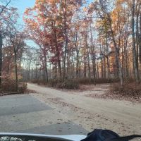 Turkey Swamp Campground ico