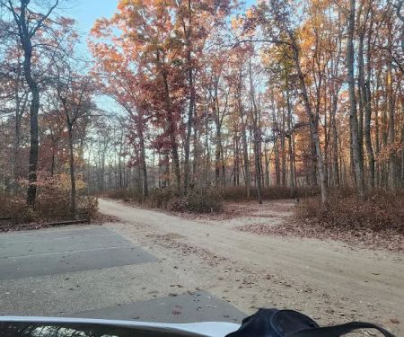 Turkey Swamp Campground