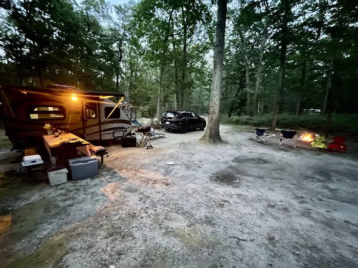 Turkey Swamp Campground Picture 7
