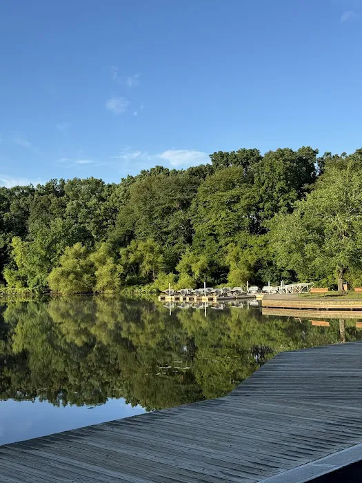 Turkey Swamp Campground Picture 2
