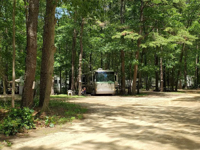 Pine Cone Resort Picture 4