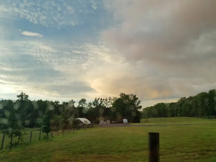 Pine Cone Resort Picture 1