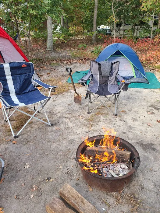 Pine Cone Resort Picture 10