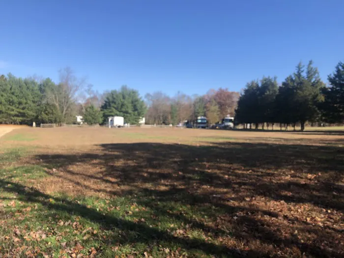 Pine Cone Resort Picture 6