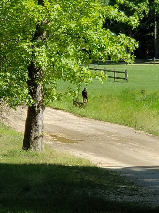 Nomoco Activity Area Picture 3