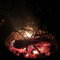 Nomoco Activity Area ico