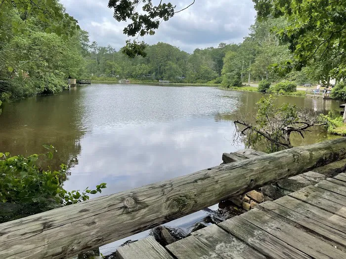 Timberland Lake Campground Picture 5