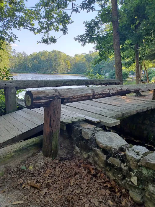 Timberland Lake Campground Picture 3