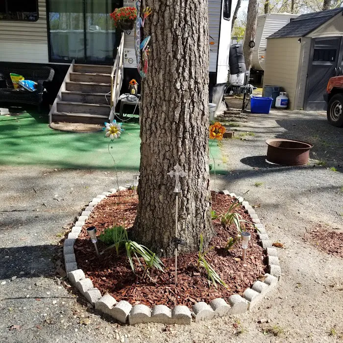 TIP TAM CAMPING RESORT Picture 3