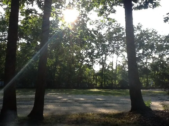 TIP TAM CAMPING RESORT Picture 5