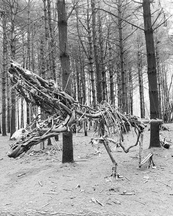 Allaire State Park Campground Picture 1