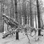 Allaire State Park Campground