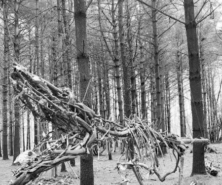 Allaire State Park Campground