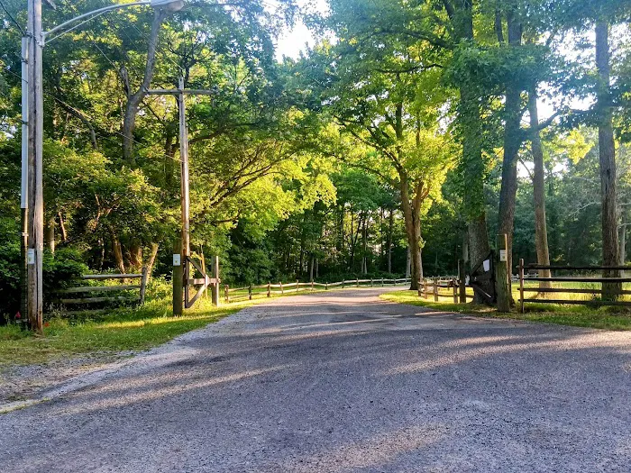 Allaire State Park Campground Picture 8