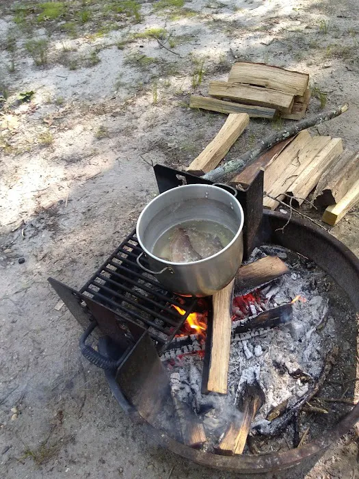 Allaire State Park Campground Picture 7