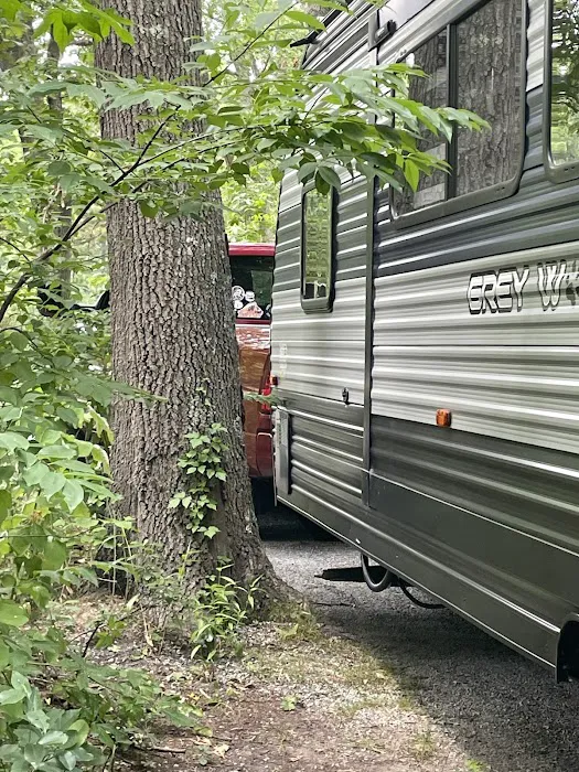 Allaire State Park Campground Picture 10