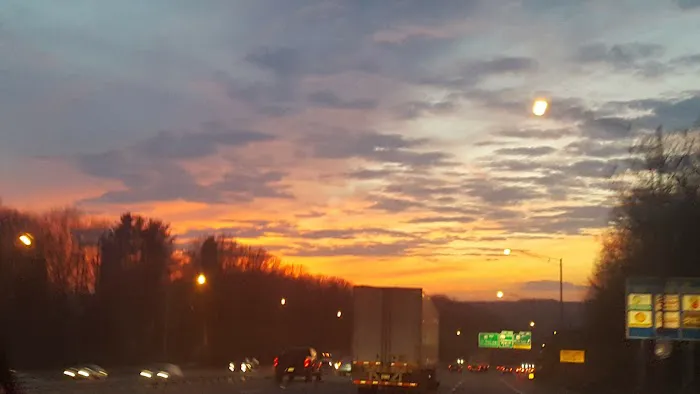 FLA- Net Park Campgrounds Picture 2