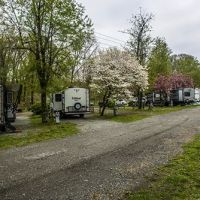 FLA- Net Park Campgrounds ico