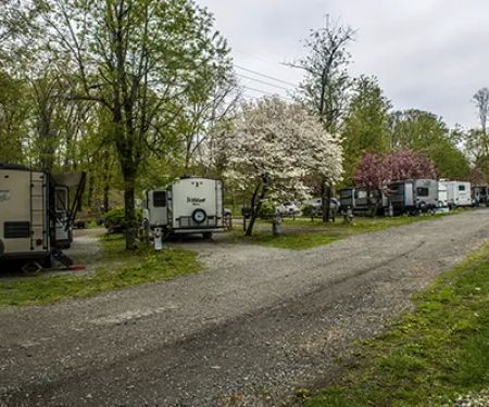 FLA- Net Park Campgrounds