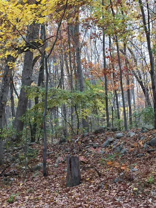 Sun-Air Lakeside Camp Picture 8