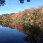 Sun-Air Lakeside Camp