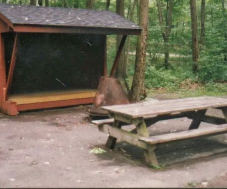 Panther Lake Camping Resort