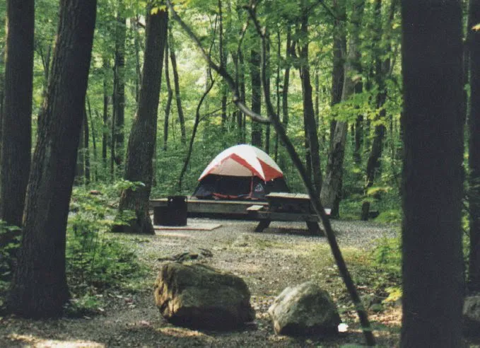 Panther Lake Camping Resort Picture 2