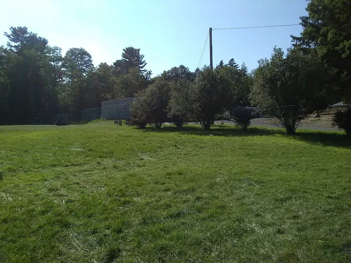 Camp Scuffy Picture 3